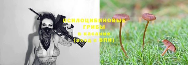 стаф Володарск