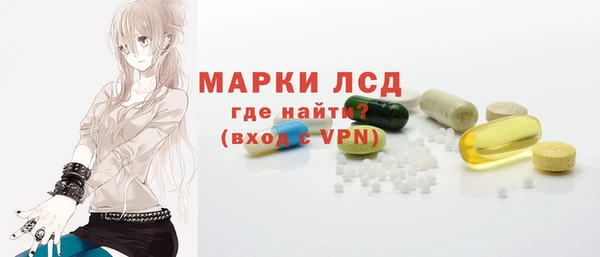 стаф Володарск
