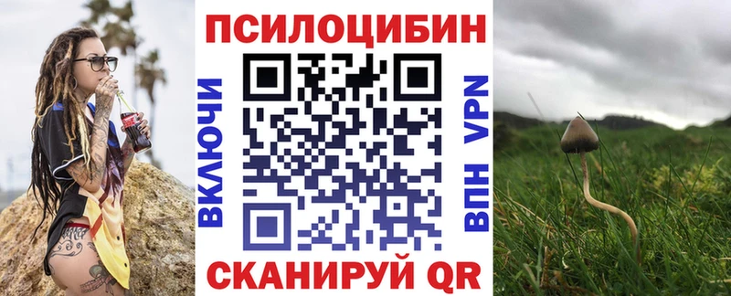 купить наркоту  Верхний Тагил  Галлюциногенные грибы GOLDEN TEACHER 
